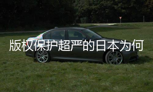 二创行的日地带何同化盛灰色超严版权保护本为人文揭秘业界